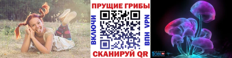 Псилоцибиновые грибы мухоморы гидра ССЫЛКА Нефтегорск